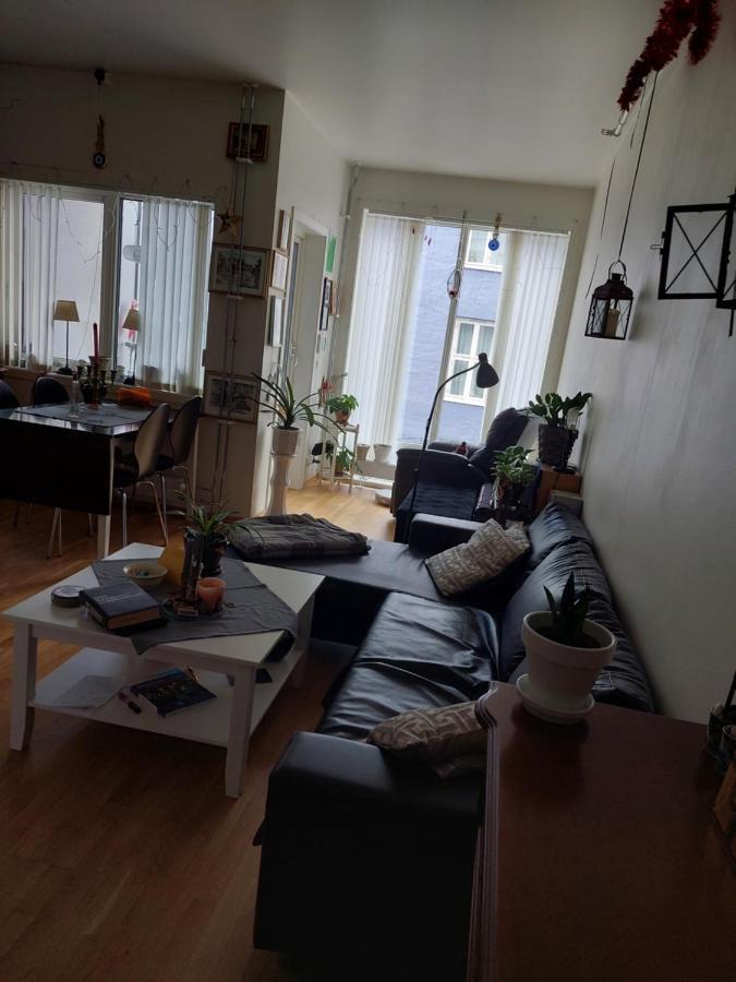 Shared Apartment, Down Town Oslo, Osterhaus'Gate 10 ภายนอก รูปภาพ